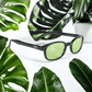 Lunettes de soleil KD's 2016 avec monture noire classique et verres vert clair